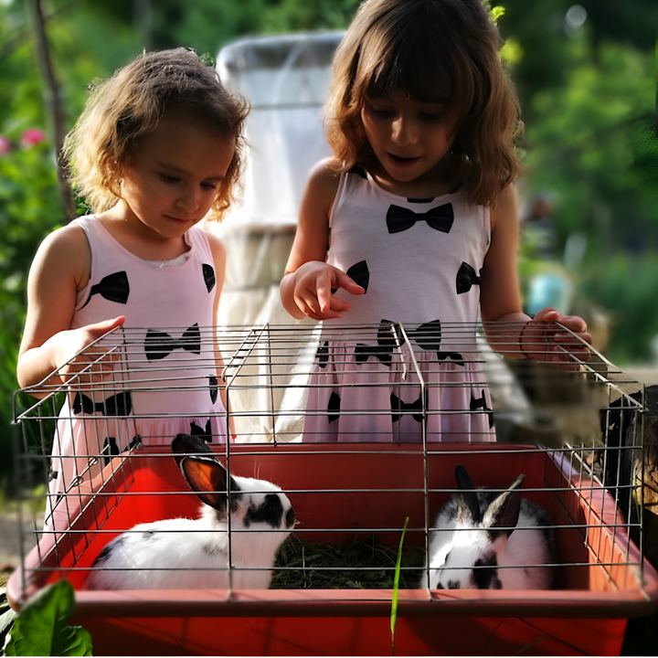 ESSENTIAL CARE FOR SMALL PETS