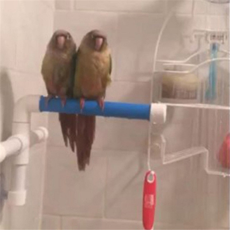 Parrot / Bird Bath Shower Stand