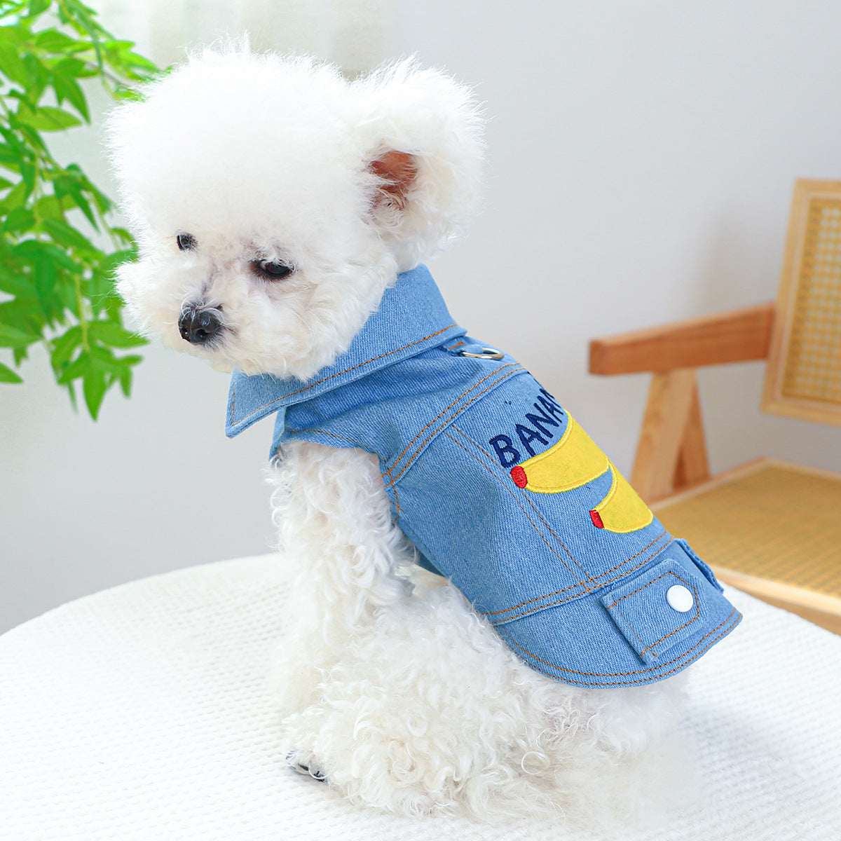 Dogs Banana Denim Clothing