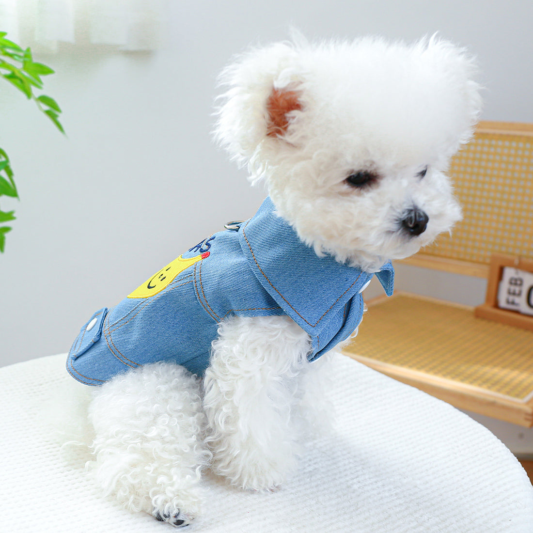 Dogs Banana Denim Clothing