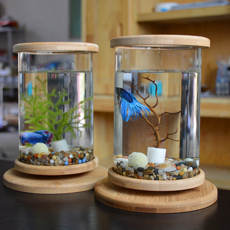 Mini Fish Tank Decoration Fish Bowl