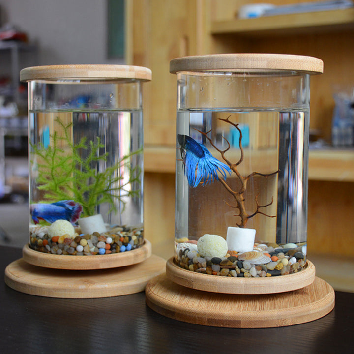 Mini Fish Tank Decoration Fish Bowl