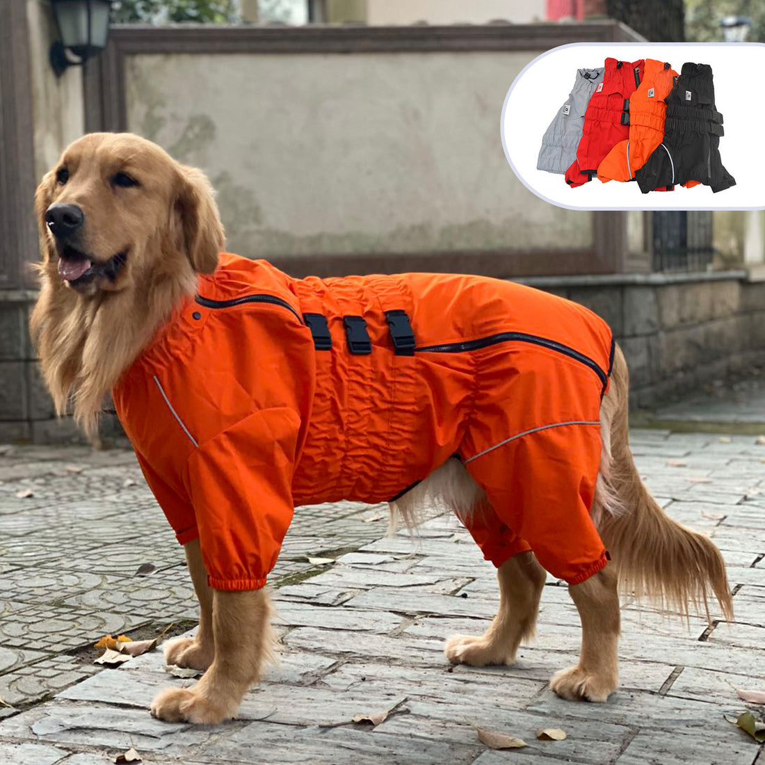 Pet Four-legged Dog Outdoor Clothing