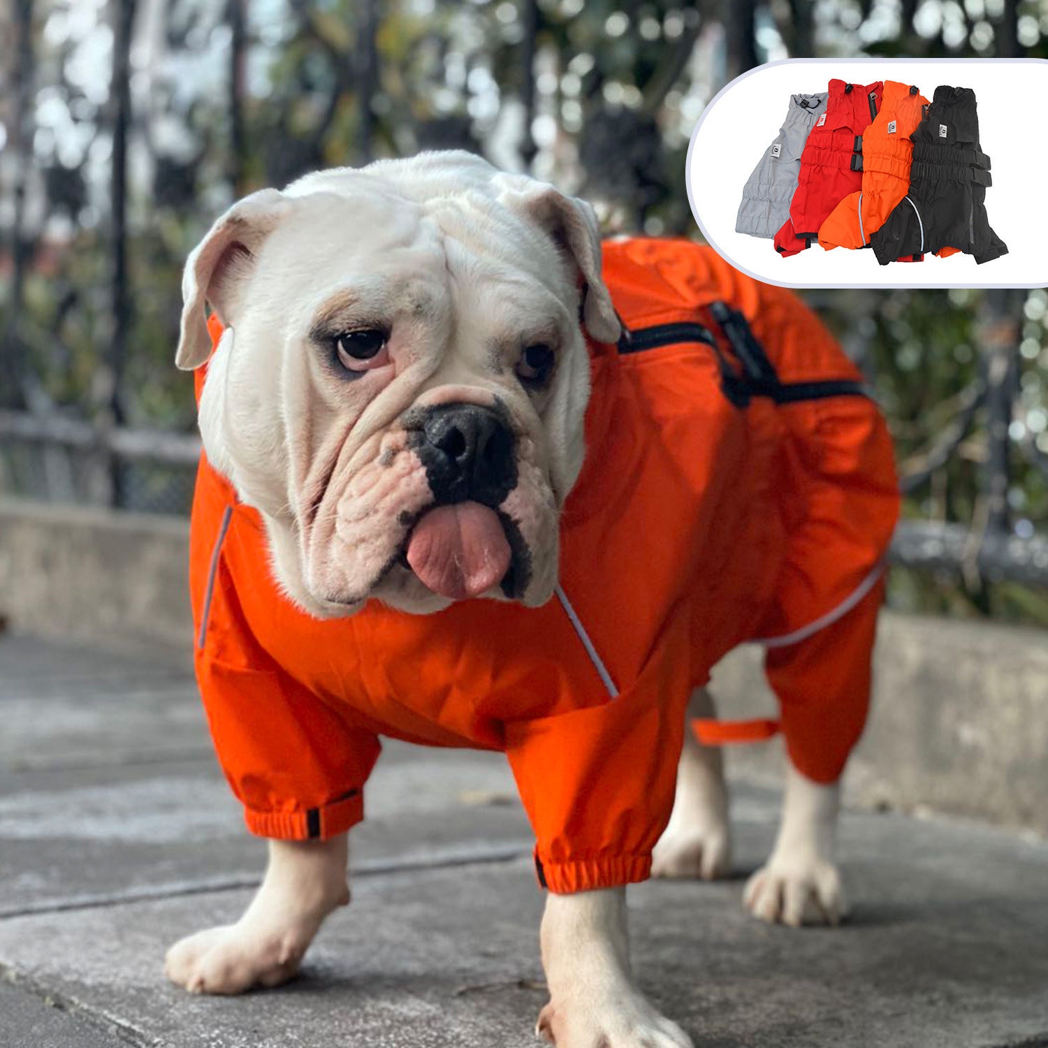 Pet Four-legged Dog Outdoor Clothing