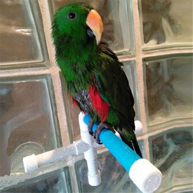 Parrot / Bird Bath Shower Stand