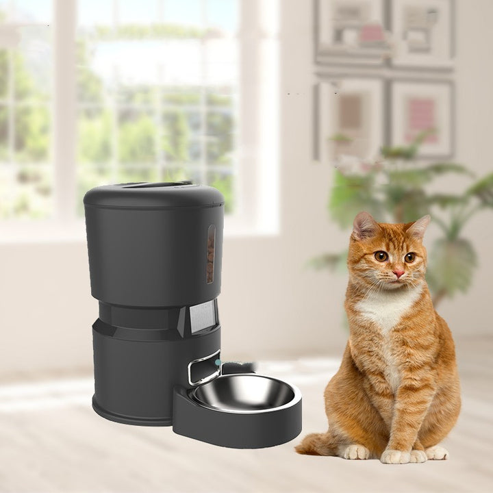 Feeding Machine For Cats