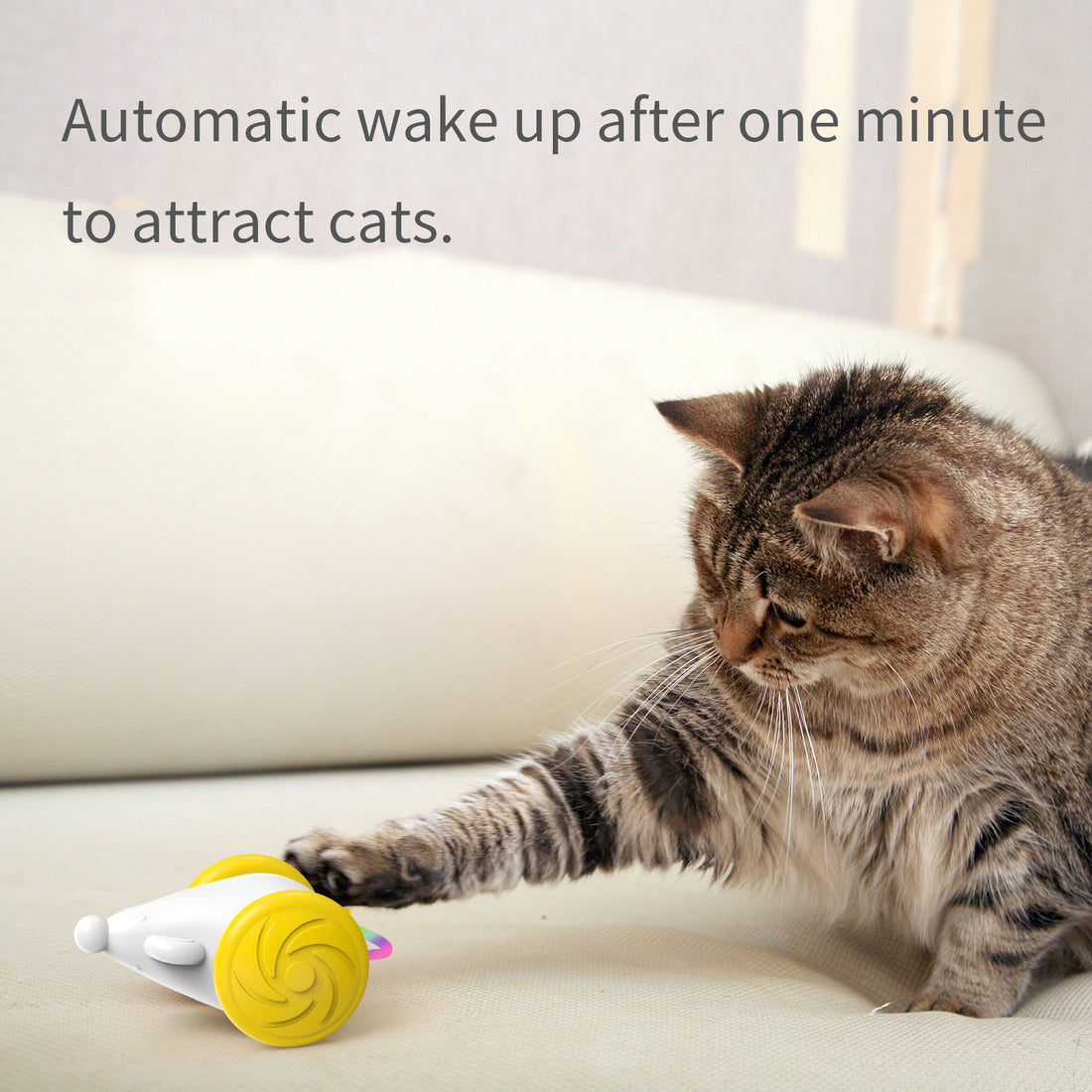 Interactive Toy For Cats