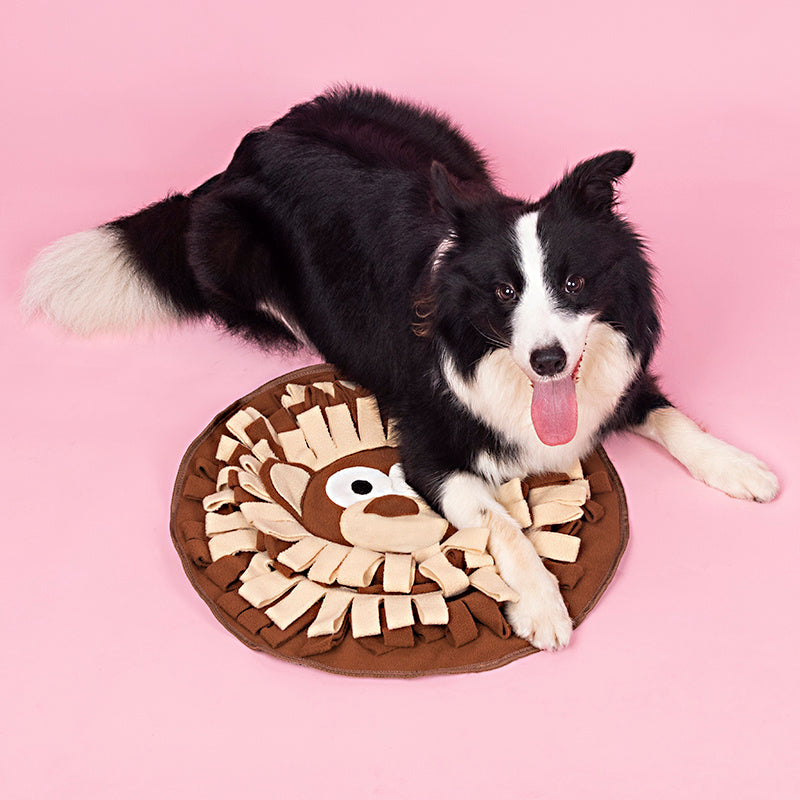 Dogs Snuffle Mat Pet Feeding Mats