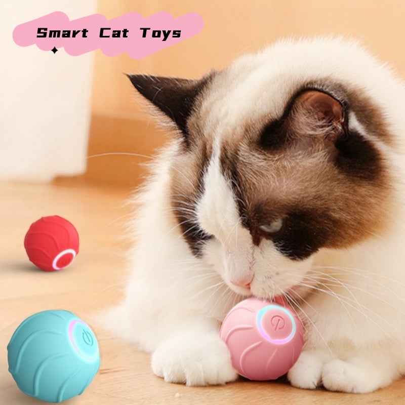 Smart Cat Toys Rolling Ball Pet