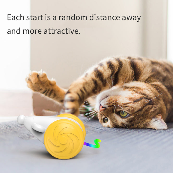 Interactive Toy For Cats