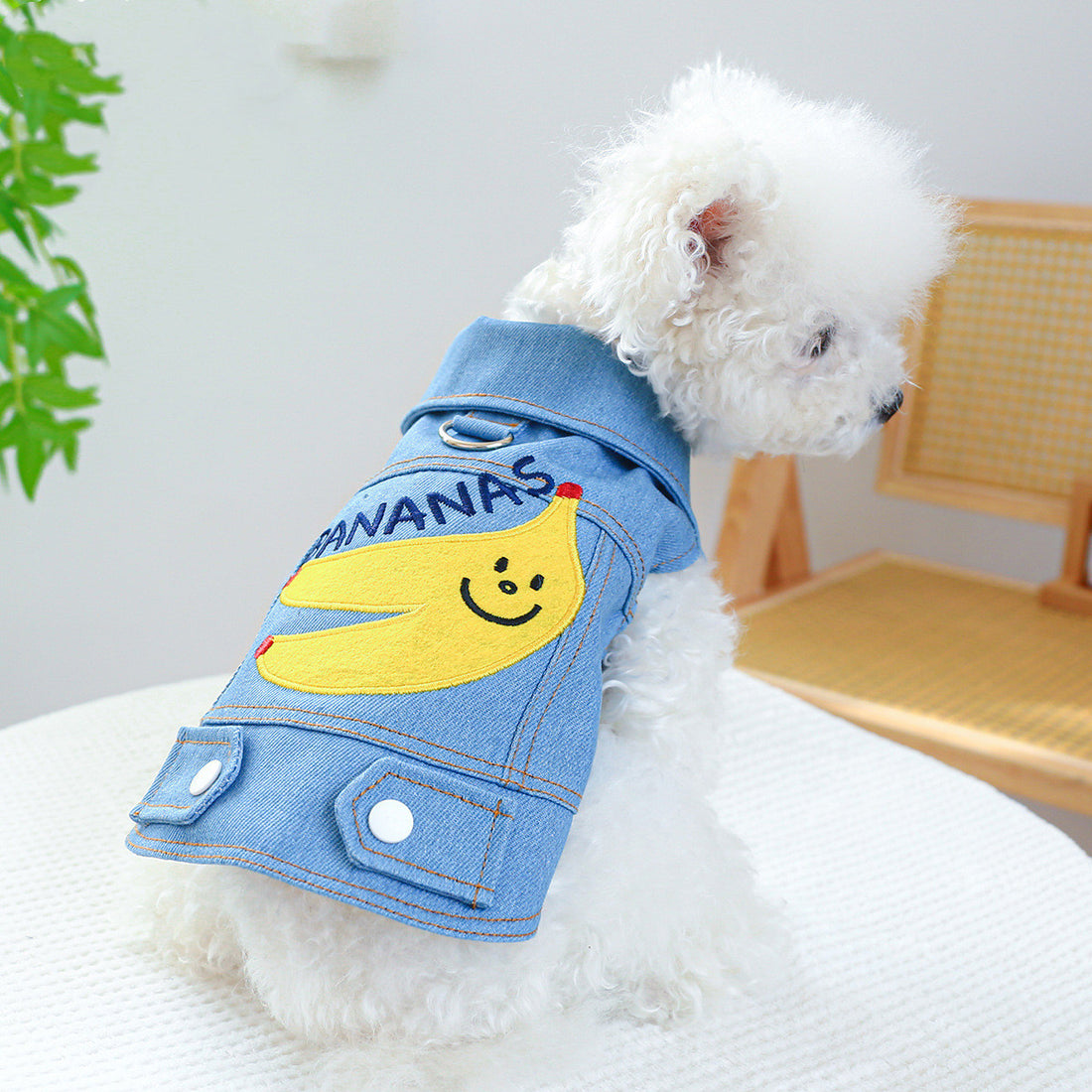 Dogs Banana Denim Clothing