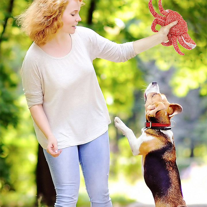 Pet Toys Have Vocalization Bite-resistant