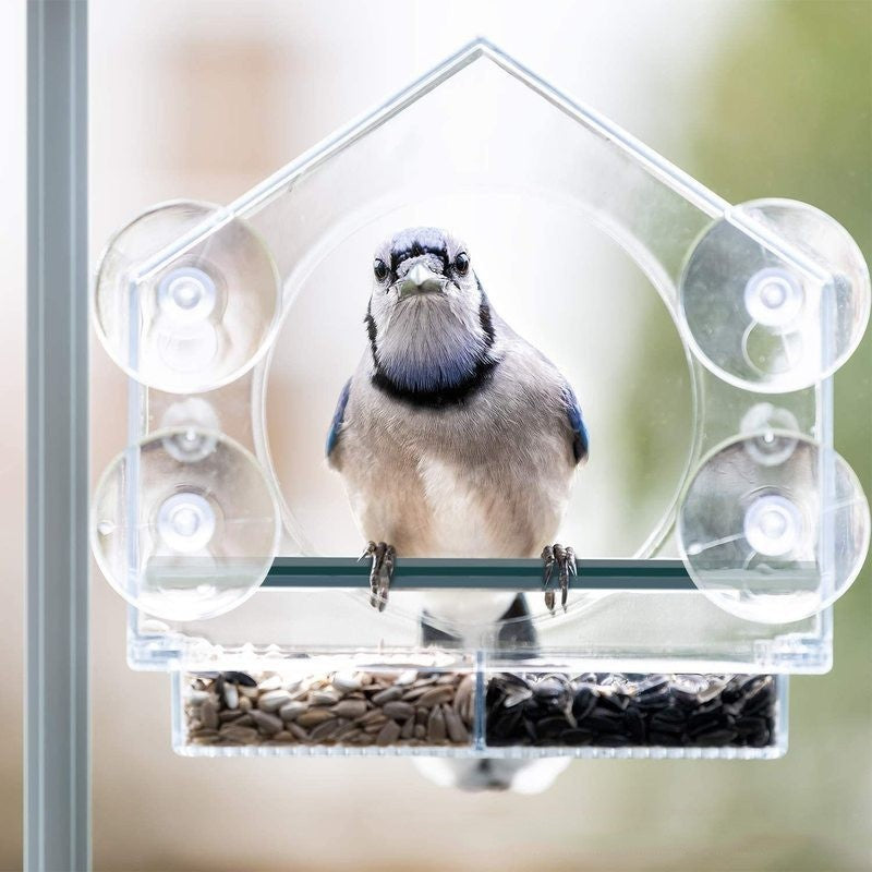 Transparent House Acrylic Bird Feeder