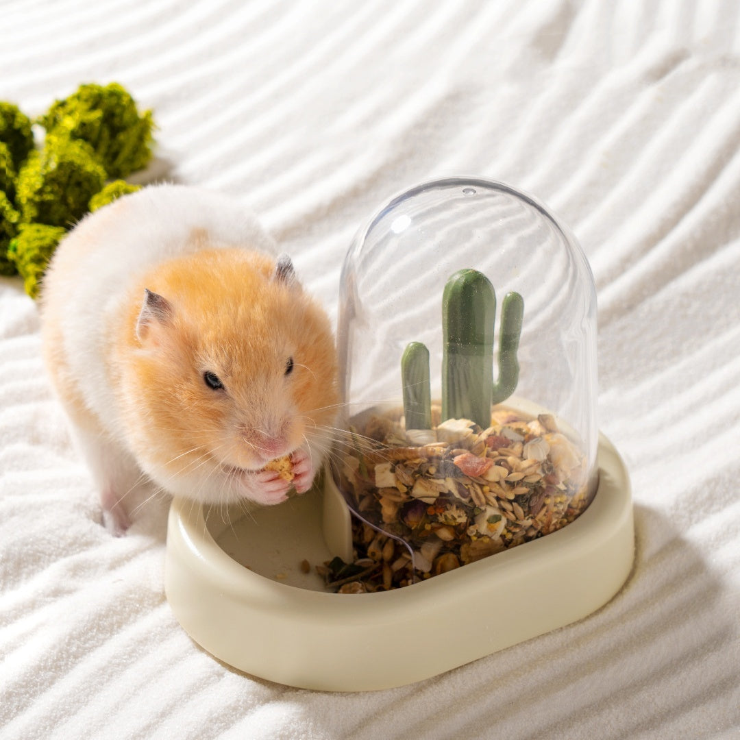 Home Hamster Creative Cactus Feeder