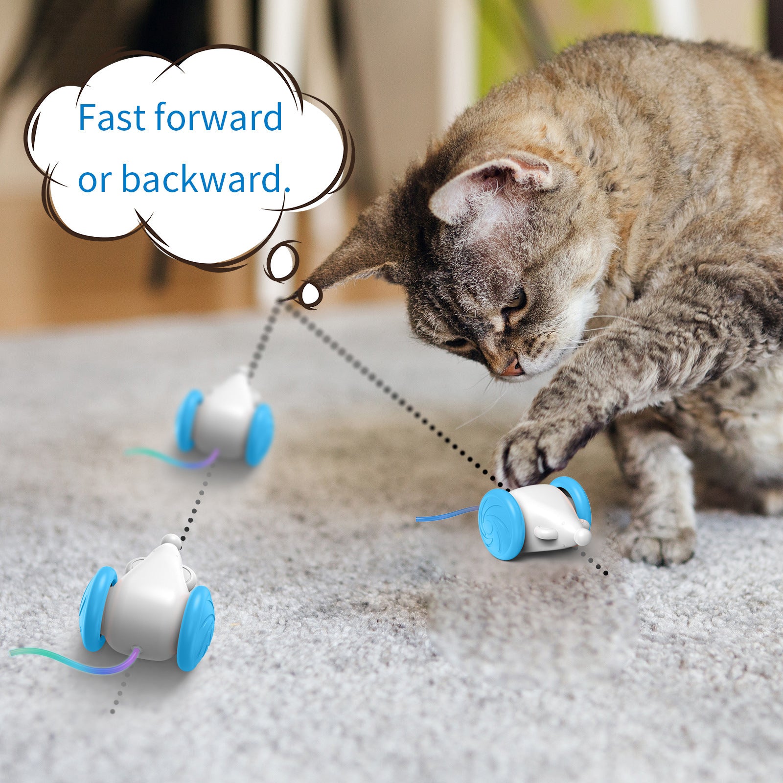 Interactive Toy For Cats