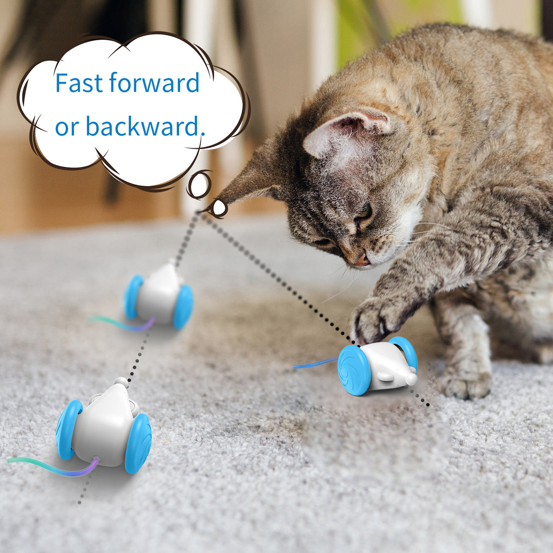 Interactive Toy For Cats