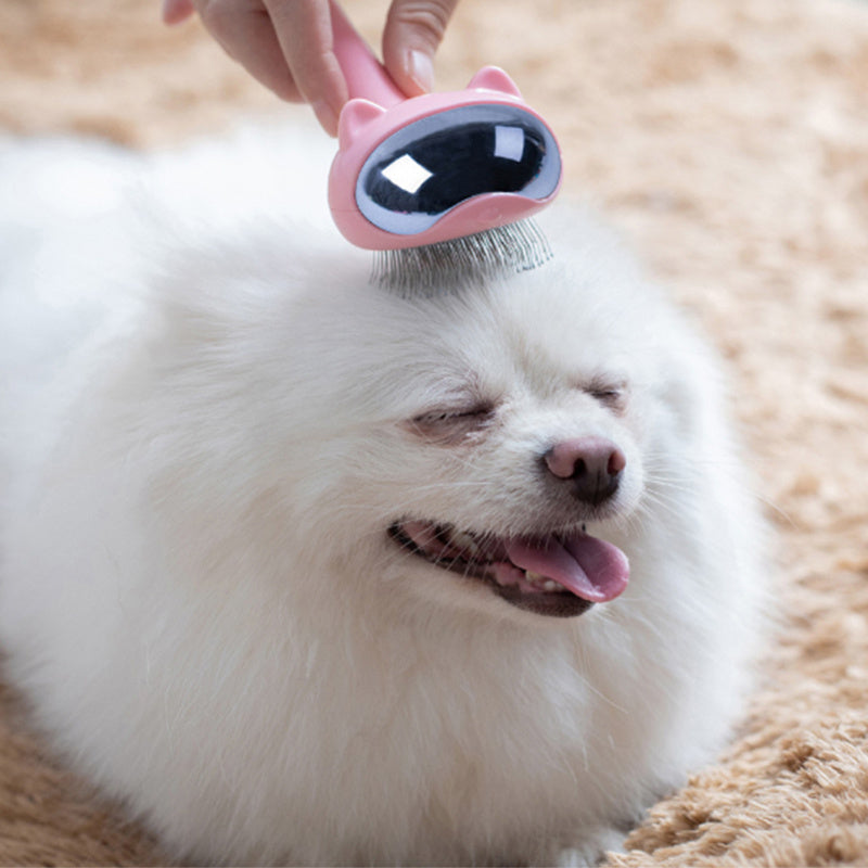 Pet Hair Remover Cleaning Supplies